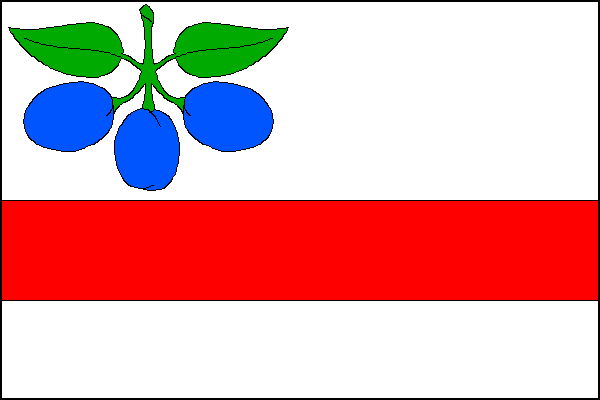 city flag