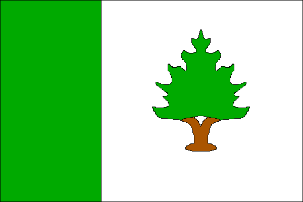 city flag