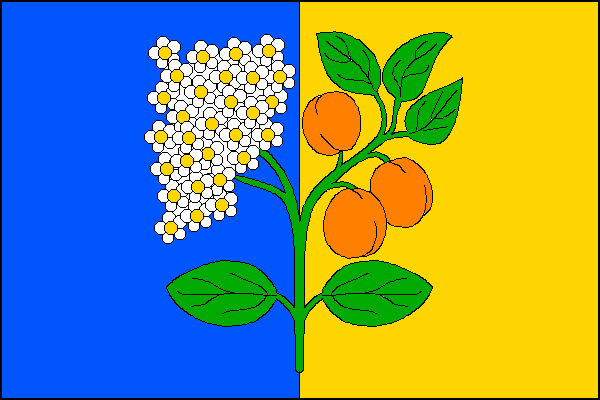 city flag