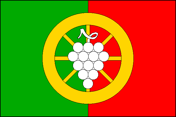city flag