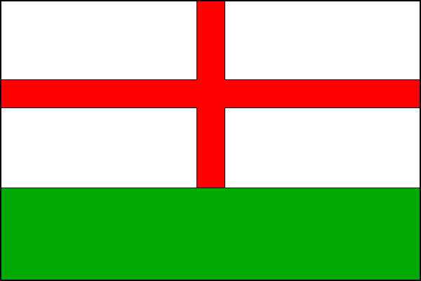 city flag