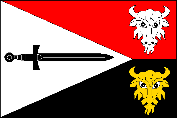city flag