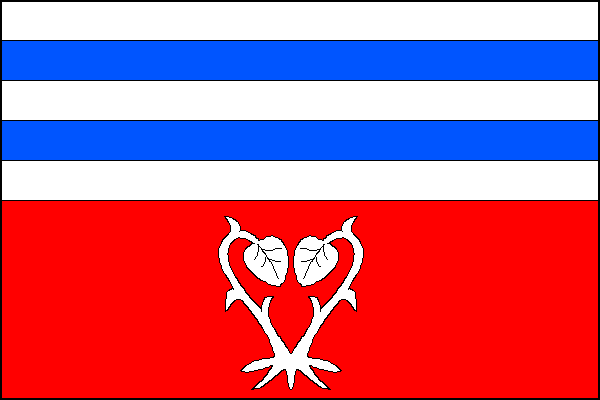 city flag