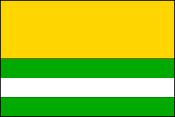 city flag