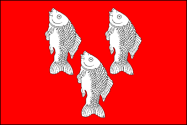city flag