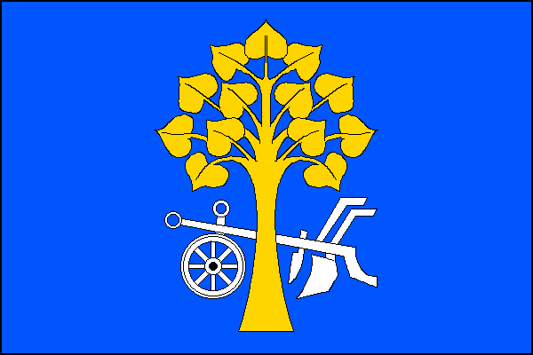city flag