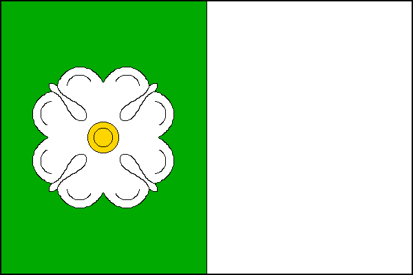 city flag