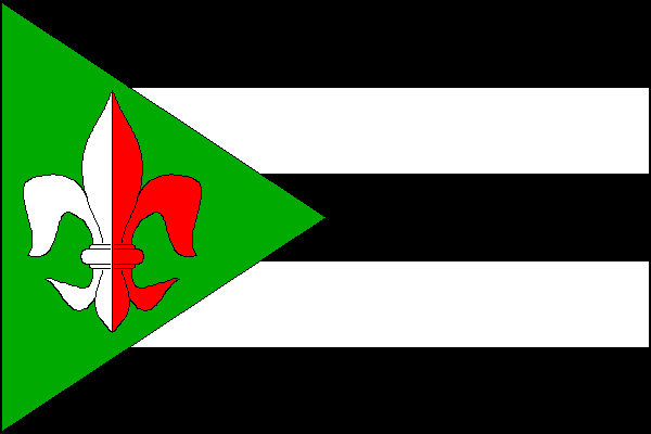 city flag
