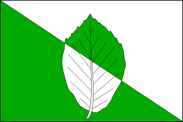 city flag