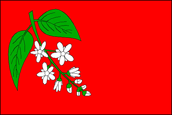 city flag