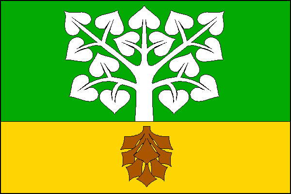 city flag